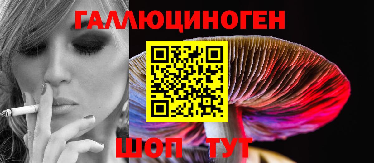 Псилоцибиновые грибы Psilocybine cubensis  Вход с VPN  Псилоцибиновые грибы ЛСД  где продают   Реж 